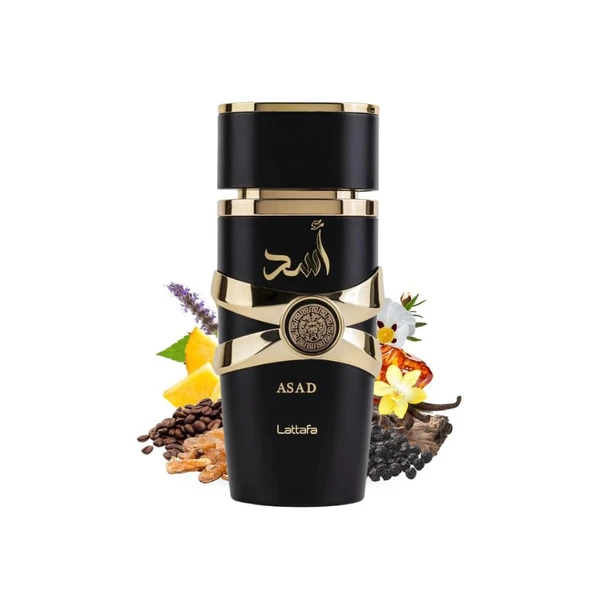LATTAFA ASAD 100 ML EDP PARFÜM - 4