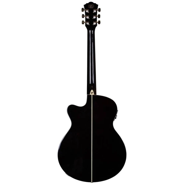 Washburn EA55G Festival Elektro Akustik Gitar - 5