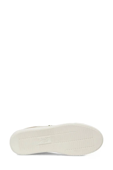 U.S. Polo Assn. Tiggy 5Fx Bej Kadın Sneaker A101947344 - 7