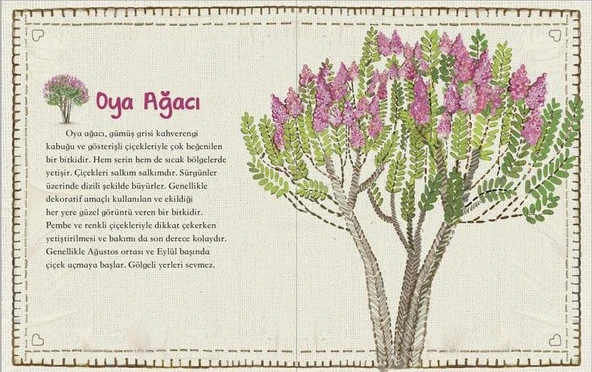 DOĞA PARMAKLARIMIN UCUNDA SET - Resim 2