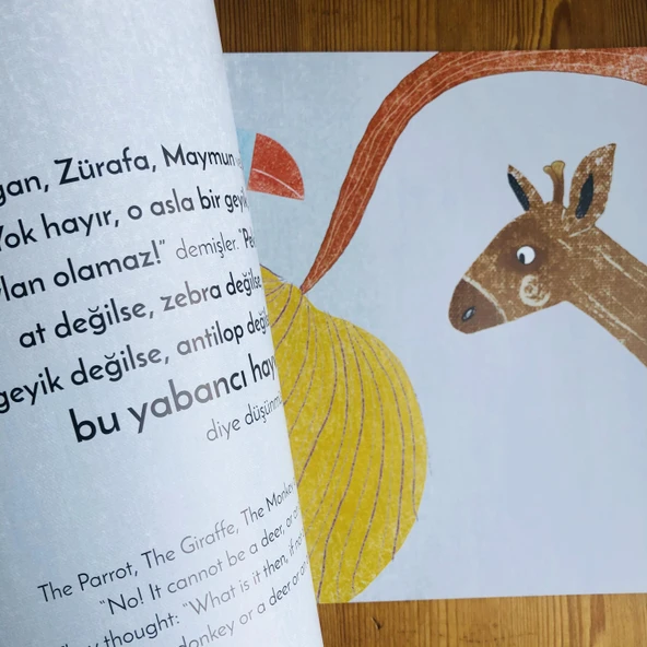 ORMANDA BİR MİSAFİR - Resim 5