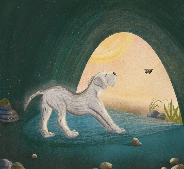 KISA KUYRUK - Resim 3