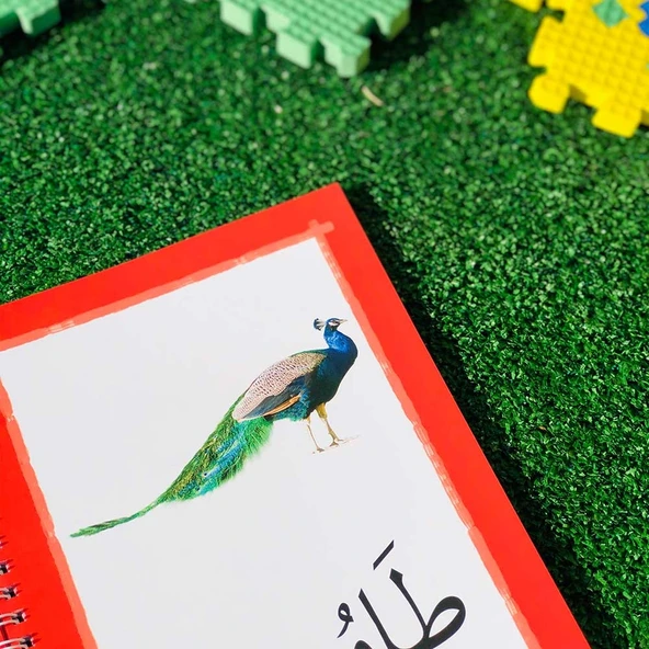 RESİMLİ ARAPÇA KELİMELER - Resim 4