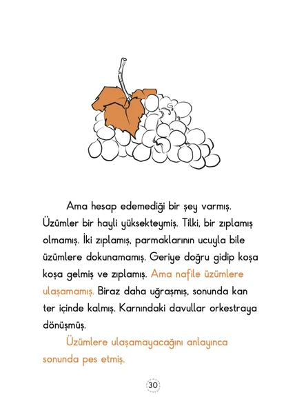 TİLKİ MASALLARI - Resim 4