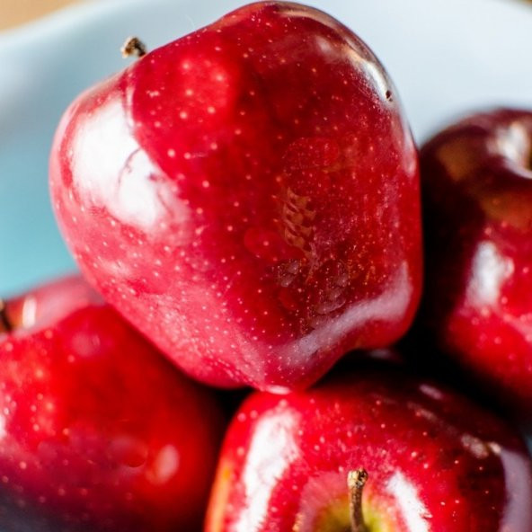 Tüplü Aşılı Tam Bodur Red Miracle Kırmızı Mucize Elma Fidanı