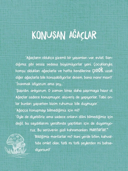 MAHİR İLE ARİF DEDE - Resim 4