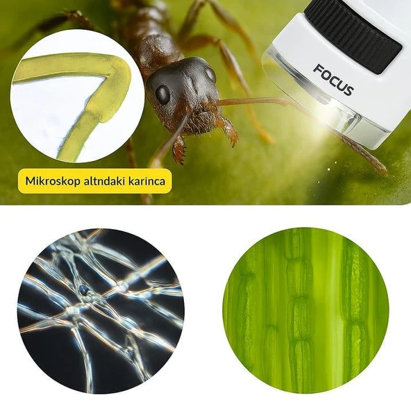 ÇOCUK DOĞA MİKROSKOPU - MİNİ CEP BOY 60X-120X - Resim 2