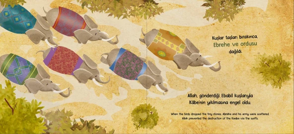 MUHTEŞEM KUŞLAR - Resim 2