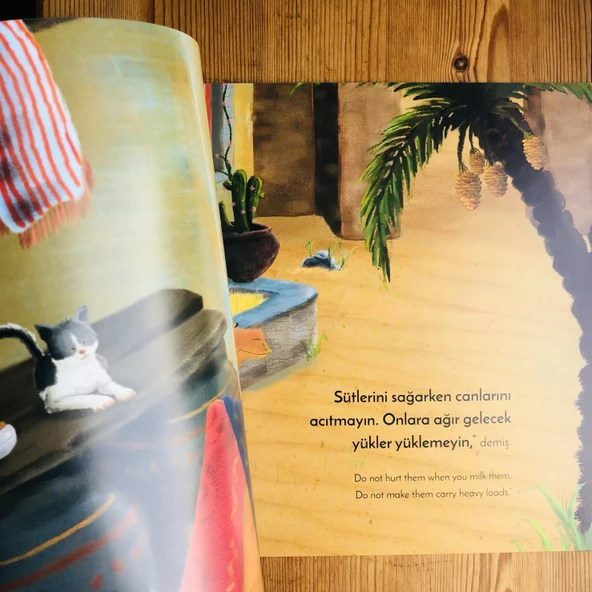 BU DEVE NEDEN KIZDI - Resim 4