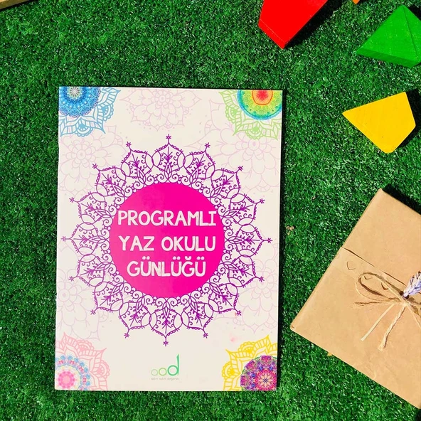 PROGRAMLI YAZ OKULU GÜNLÜĞÜ - Resim 2