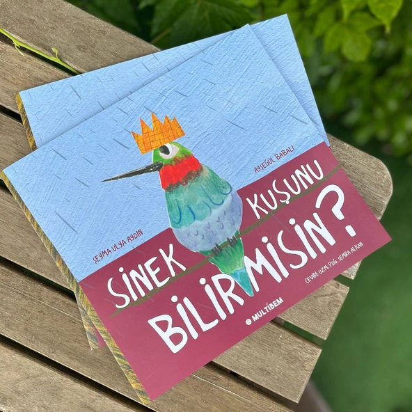 SİNEK KUŞUNU BİLİR MİSİN? (TÜRKÇE) - Resim 3
