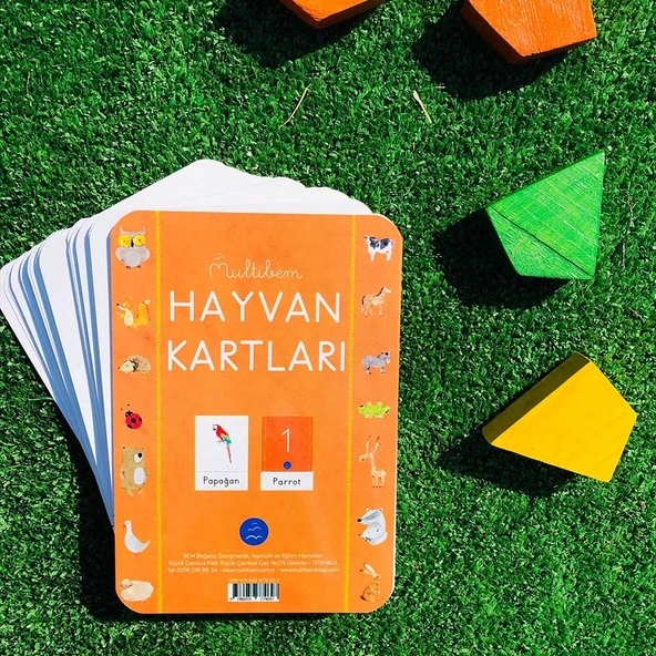 HAYVAN FLAŞ KARTLARI (60 Çeşit) - Resim 2