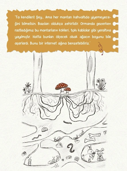 MAHİR İLE ARİF DEDE - Resim 2