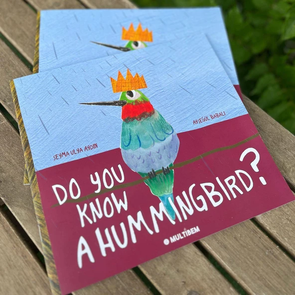 SİNEK KUŞUNU BİLİR MİSİN? (İNGİLİZCE) - Resim 3