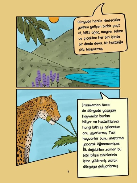 TABİP VE HEMŞİRE - Resim 2
