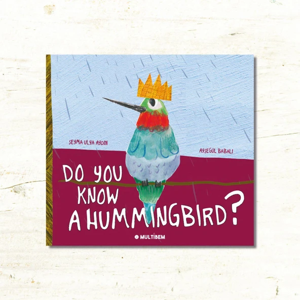 SİNEK KUŞUNU BİLİR MİSİN? (İNGİLİZCE) ürün görseli