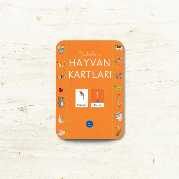 HAYVAN FLAŞ KARTLARI (60 Çeşit) ürün görseli