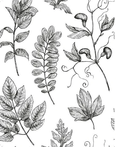 VADİDEKİ MİSAFİR - Resim 2