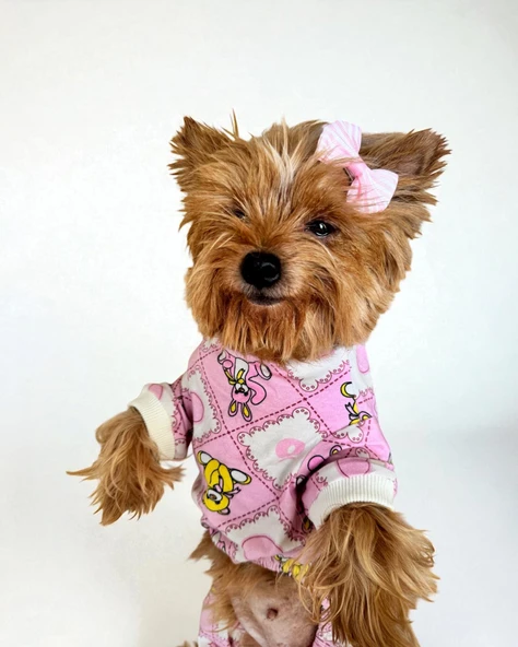 Teddy Toad Penye Köpek Tulum Pijama - 7