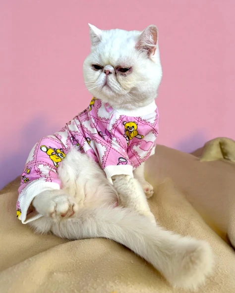 Teddy Toad Penye Kedi Tulum Pijama ürün görseli 1