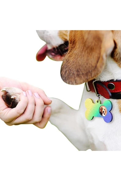 Siliko World Kemik Şekilli Reçine Kalıpları | Epoksi Reçine Döküm için Köpek Kemik Şeklinde Silikon Kalıplar - 6