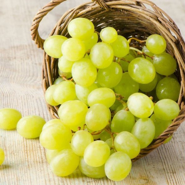 Tüplü Hevenklik Beyaz Bulut Üzüm Fidanı - Resim 5