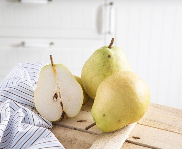 Tüplü Aşılı Nadir Bulunan Yarı Bodur Rıza Bey Armut Fidanı - Resim 4