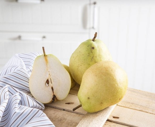 Tüplü Aşılı Nadir Bulunan Yarı Bodur Rıza Bey Armut Fidanı - Resim 5