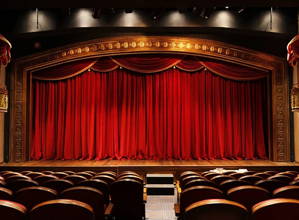 D Sound Ds-337S Tiyatro Koro Kamera Fotoğraf Makinası Mikrofonu - 2