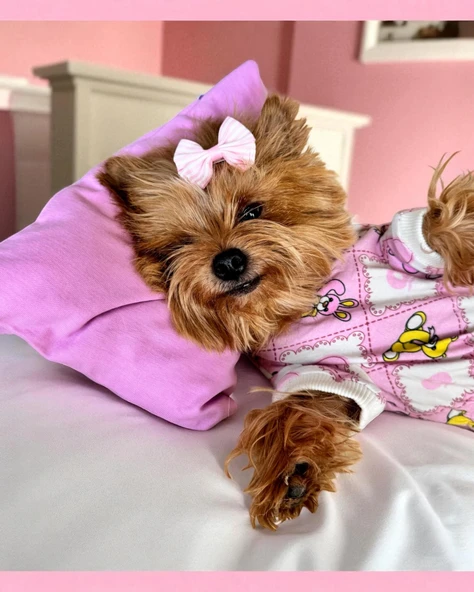 Toad Teddy Penye Tulum Yastık Takım Uyku Set Köpek Tulum Elbise - 2