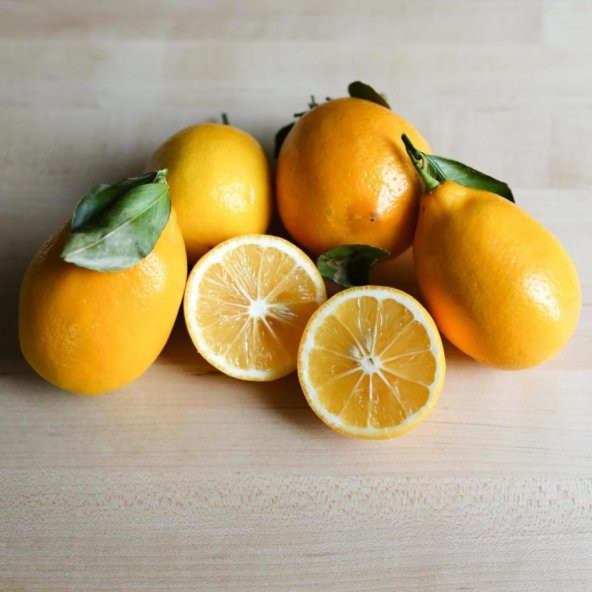 Tüplü Finike Bol Sulu Red Limon Fidanı - 5