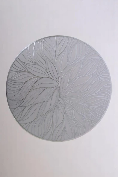 Digithome 6’lı Amerikan Servisi Supla Yuvarlak Gümüş 38 Cm THN76973 C1-1-18