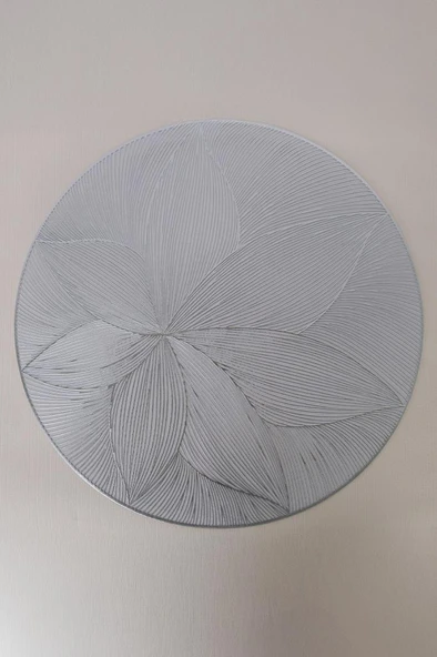 Digithome 6’lı Amerikan Servisi Supla Yuvarlak Gümüş 38 Cm THN76953 C1-1-18