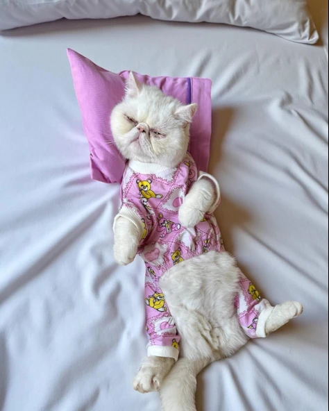 Toad Teddy Penye Kedi Tulum ve Yastık Takım Uyku Seti - 7