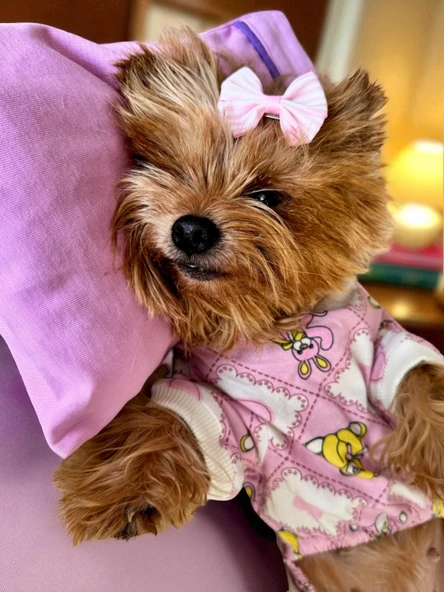 Toad Teddy Penye Tulum Yastık Takım Uyku Set Köpek Tulum Elbise - 6