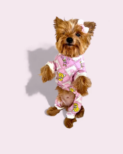 Toad Teddy Penye Tulum Yastık Takım Uyku Set Köpek Tulum Elbise - 9