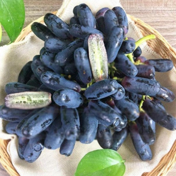 Tüplü Çekirdeksiz Black Finger Parmak Üzüm Fidanı - 6