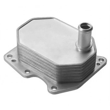 Ford Yag Sogutucu (petek) Transıt V184 2,4tdci 01>06 V347 2,2tdci 155 Ps / 2,4tdci 06>14 V363 2,2tdci 155 - Marelli 359001602190 ürün görseli