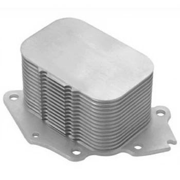 Ford Yag Sogutucu Petek P107 P206 P307 C1 C2 C3 Dv4 (1,4hdi) P307 P407 Partner II Berlingo II 1,6hdi Fies - Marelli 359001601960 ürün görseli