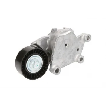 Psa V Kayıs Gergi Mini Cooper R56 (alternator) Rulmanı P208 P206+ (t3e) C3 III Ds3 P207 Dv4c P1007 C2 C3 - Febi 22369 ürün görseli