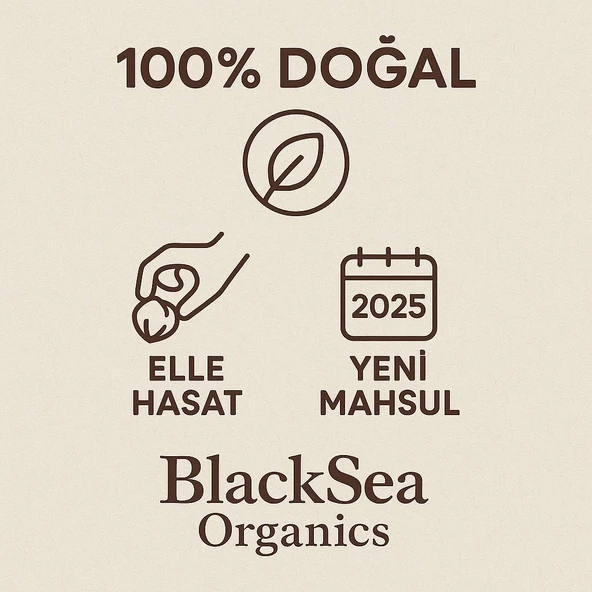 BlackSeaOrganics BlackSea Organics 2025 Yeni Mahsul Kabuklu Fındık 500 Gr - 2