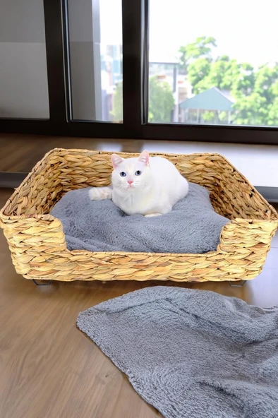 Digithome Hasır Dikdörtgen Kedi ve Köpek Yatağı İç Minderli 60,5 Cm Kahverengi - CL-4038 C1-1-121 - 2