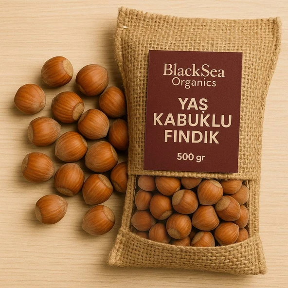 BlackSeaOrganics BlackSea Organics 2025 Yeni Mahsul Kabuklu Fındık 500 Gr - 3