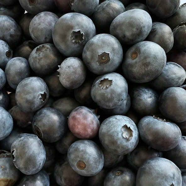 Ev Yapımı Yaban Mersini Reçeli 350g  Katkısız & Geleneksel Üretim - 3