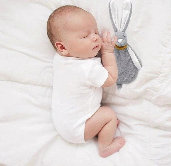 Babyjem Emzik Askılı Tavşan Uyku Arkadaşı Taş - Resim 6
