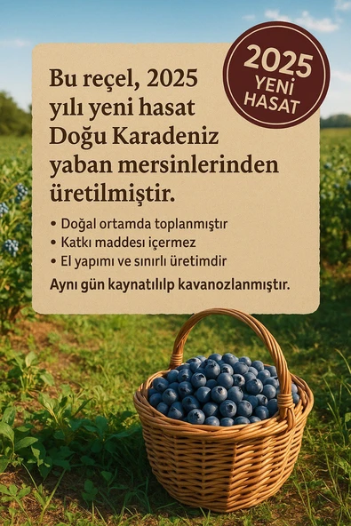 Ev Yapımı Yaban Mersini Reçeli 350g  Katkısız & Geleneksel Üretim - 2