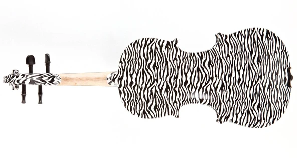 KINGLOS KNG HB-1307 KEMAN, 4/4 - Resim 2