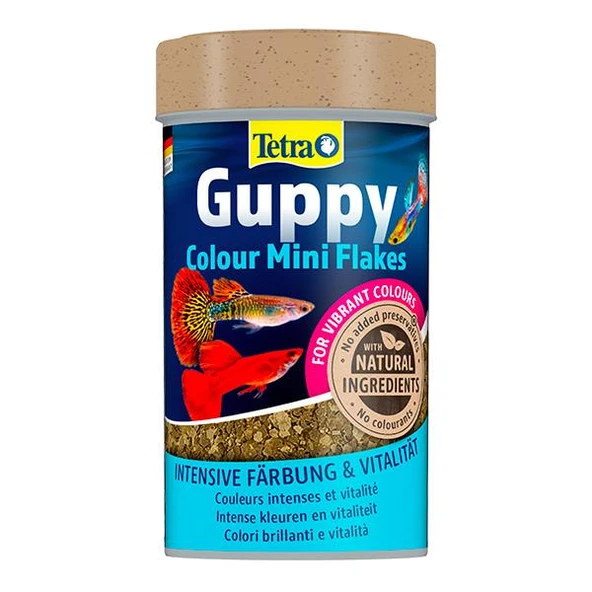Tetra Guppy Colour Mini Flakes Pul Lepistes Yemi 100ml ürün görseli