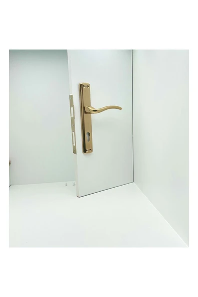 Özen Trim Titanyum Lüx Aynalı Yale Çelik Kapı Kolu Sol Basar Tek Yön - Resim 2