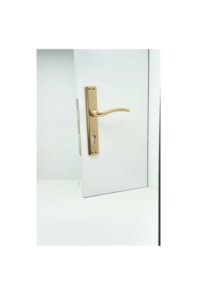 Özen Trim Titanyum Lüx Aynalı Yale Çelik Kapı Kolu Sol Basar Tek Yön ürün görseli